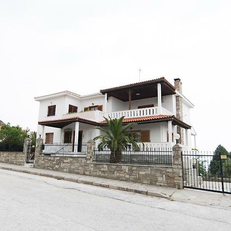 Bivas Nikolaos Villa PalaiónTsiflíkion Екстериор снимка